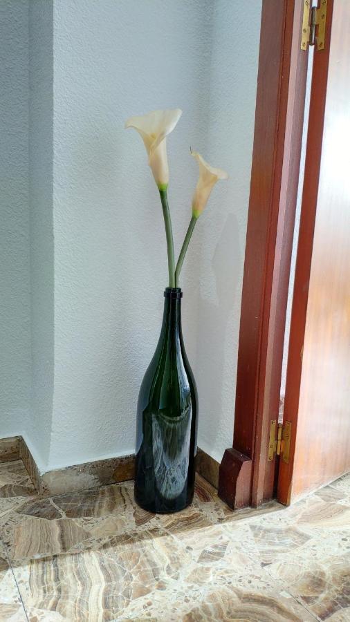 Perfect Apartment Near The Beach Alicante Exteriör bild
